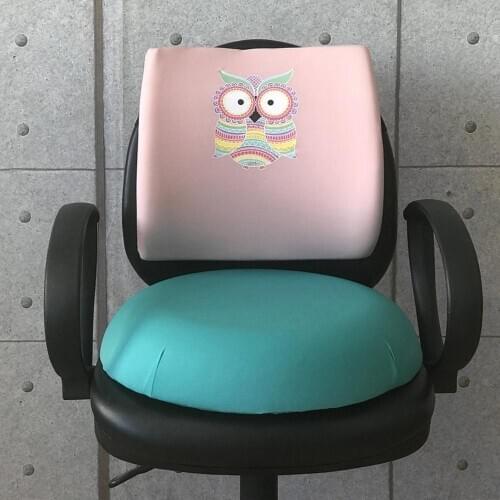 Custog Memory Foam Waist Support Pillow And Sitting With Cushion Pad Set Of 2 For Office Chair Orthopedic Health Care Owl