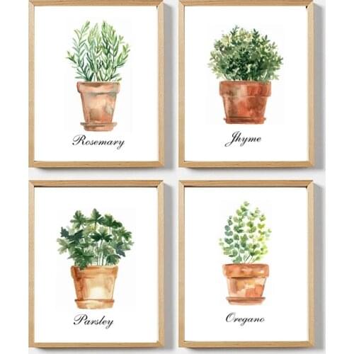 Watercolor Kitchen Plant Wall Art Canvas Poster Printing Decoration Oregano Thyme Rosemary Parsley Green Plant Art Painting Mura