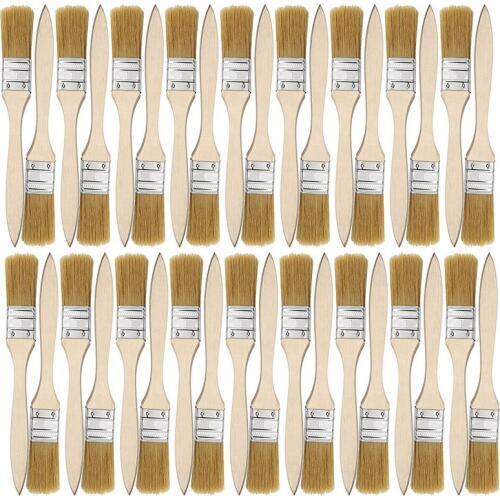 36 Pack of 1 Inch (24mm) Paint Brushes and Chip Paint Brushes for Paint Stains Varnishes Glues and Gesso
