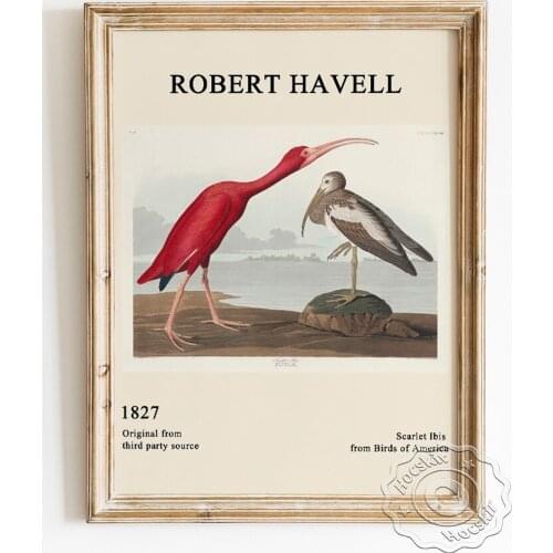 John James Audubon Exhibition Museum Poster, Scarlet Ibis Canvas Painting, America Birds Wall Stickers, Animal Prints Home Decor