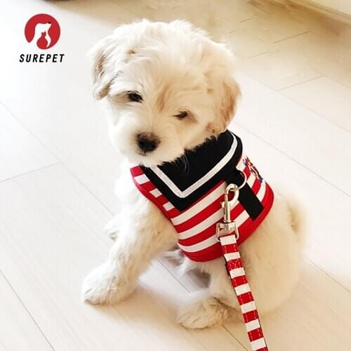 Dog Harness Leash Set for Small Medium Dogs Puppy Chest Strap Pug Chihuahua Bulldog Dog Accessories