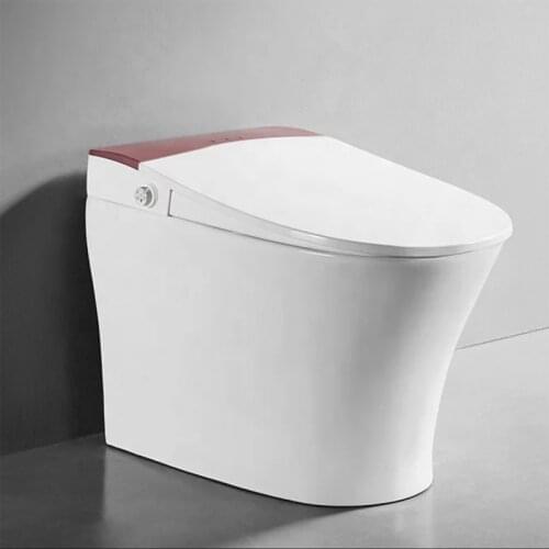 KASG -DV518GE SMART TOILET