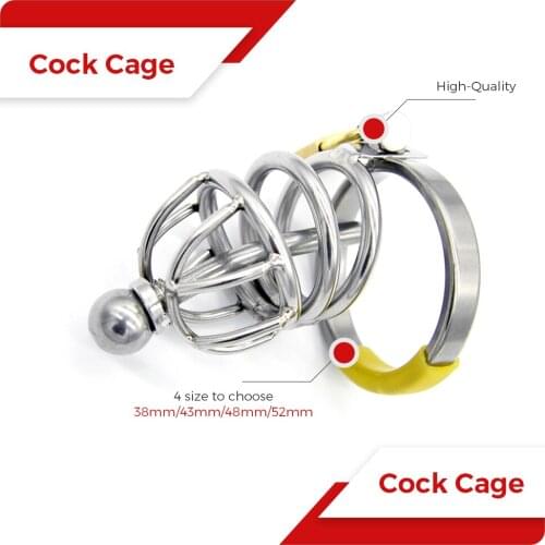 BDSM Stainless Steel Male Cock Cage Penis Ring Lock Chastity Device Belt with Catheter Stealth New Lock Adult Sex Toy for Men