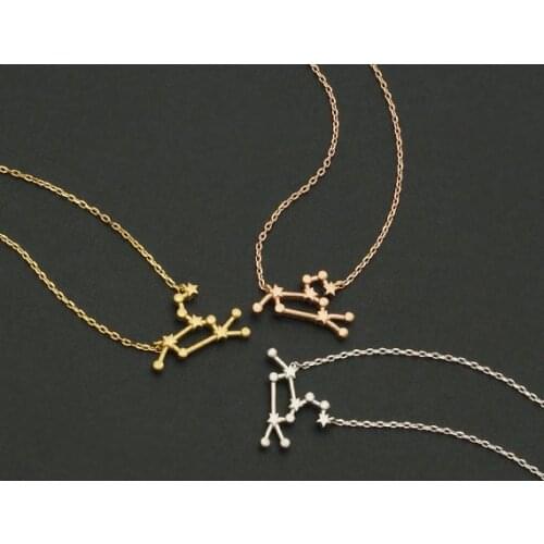 Daisies 10pcs-- Leo Zodiac Sign Astrology Necklace Constellation Jewelry Star Sign Statement Necklace for Women Birthday Gift