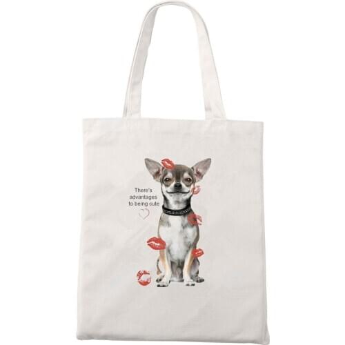 Funny cartoon Print Shoulder Canvas Bags Harajuku Vogue Crossbody Bag Cartoon Retro Handbag Casual Street Women Bag Purse