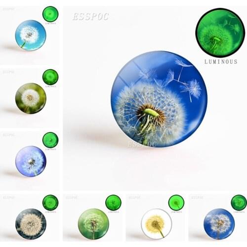 5pcs/set Dandelion Round Luminous Glass Dome Cabochon 25 MM Handmade Pendant DIY Jewelry Supplies