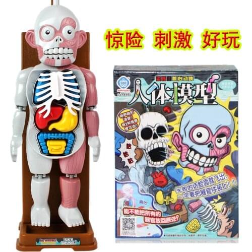 Human model assembled skull statue toy/Halloween Scary Skull Doll Haunted House Escape Horror Props Halloween Decorations