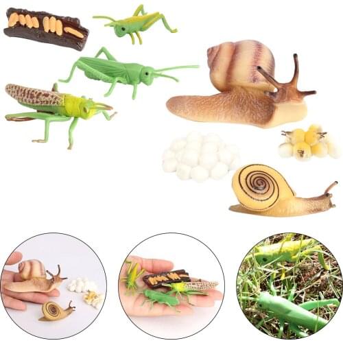 Kids Simulation Animal Figures Toys Grasshopper Snail Growth Process Models