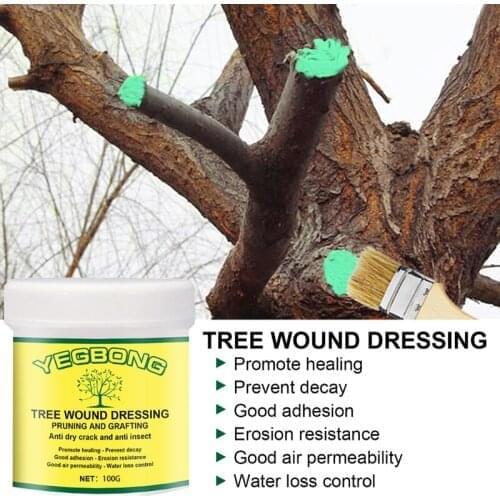 Garden Bonsai Plant Healing Paste with Brush 30g/100g Wound Pruning Sealer Paste and Grafting Sealant Bonsai Tool Kit