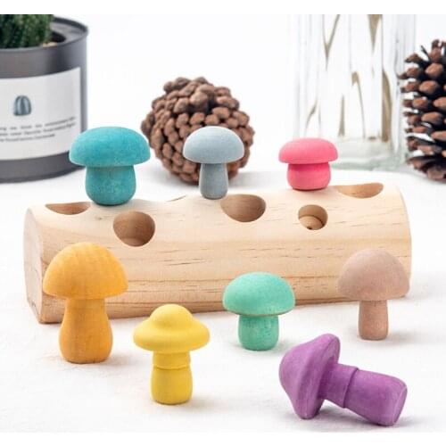Wooden Mushroom Picking Game Montessori Educational Wooden Baby Toys Concentration Training Rainbow Building Block Mushroom