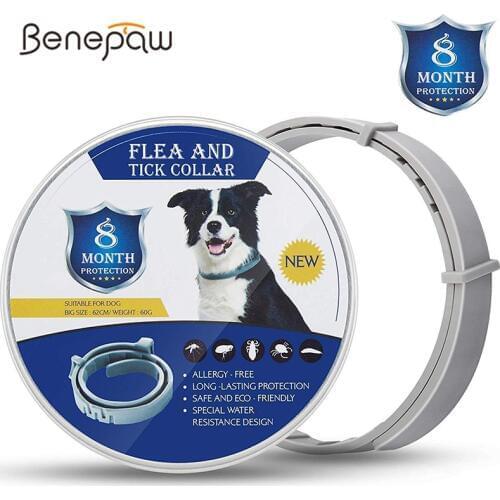 Benepaw Effective 8 Month Protection Dog Flea Collar Adjustable Waterproof Natural Cat Pet Control Flea And Tick Collar