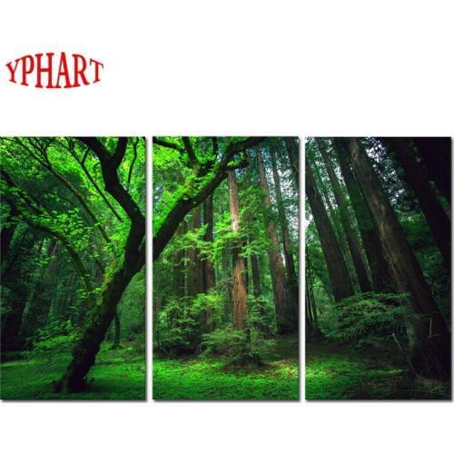 Framed 3 Panels Green Forest Canvas Print Painting Artwork Modern Home Wall Decor Painting Canvas Art Picture On Canvas Prints