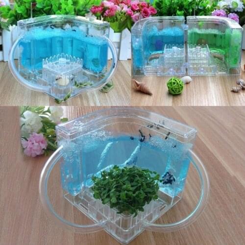 3D Ant Farm Educational Maze Live Feeding System Ants Habitat World Pet Villa