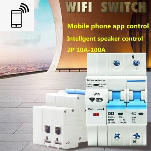 2P WiFi Smart Circuit Breaker with Energy monitoring and meter function for Amazon Alexa and Google home