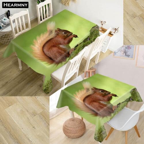Custom Squirrel Animal Tablecloth Waterproof Oxford Fabric Square/Rectangular Tablecloth For Wedding Table Cloth Cover TV Covers
