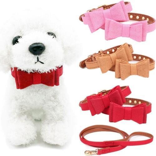 Collars Innesoignelife China