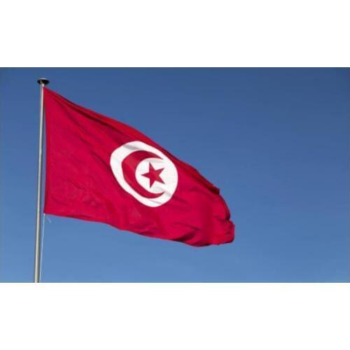 Free shipping xvggdg Tunisia, Tunisie Flag 3ft x 5ft Hanging tunisia Flag Polyester standard Flag Banner