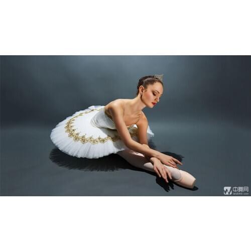 Adult Special Professional Ballet Skirt Lady Swan Lake Ballet Dancing Dress Girls Suspenders Tutu Dress Performance B-6444