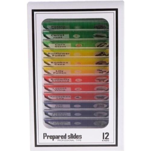 12 Pcs Prepared Microscope Slides Set Specimen for student Basic Biology Education