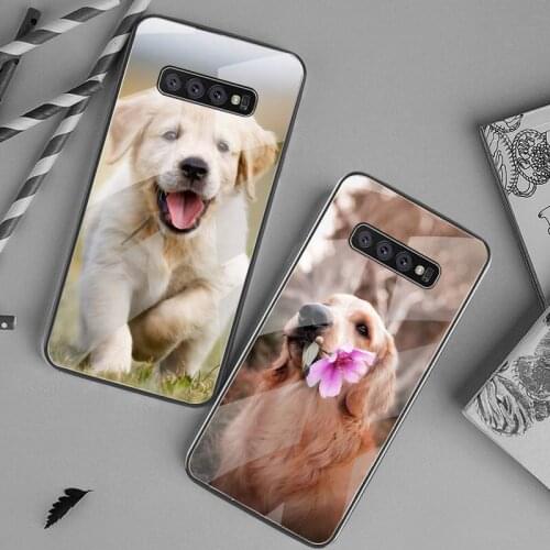 Golden Retriever dog Phone Case Tempered Glass For Samsung S20 Plus S7 S8 S9 S10 Plus Note 8 9 10 Plus