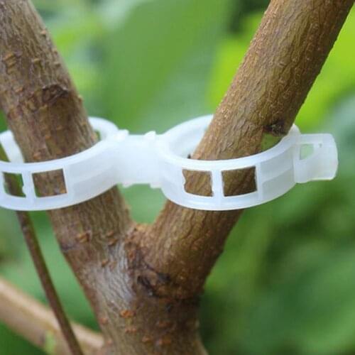 100pcs Plastic Plant Clips Supports Reusable Protection Grafting Fixing Tool Gardening Supplies for Vegetable Tomato