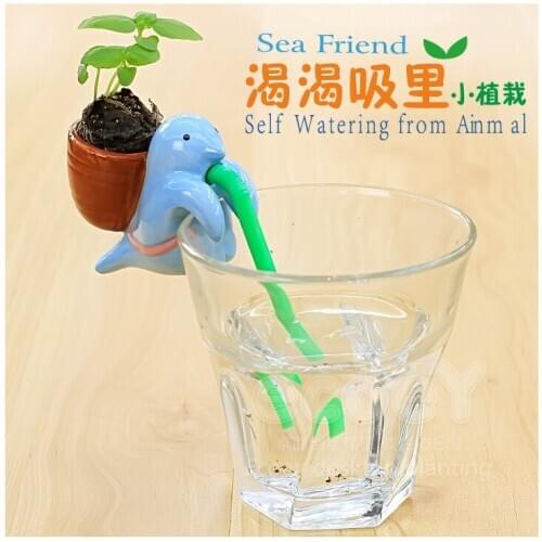 Creative DIY toy manufacturers, wholesale plants ecoey plant grass doll creative new Desktop thirsty thirsty suck in
