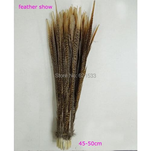 50pcs/lot!18-20inches 45-50cm long Natural golden pheasant tail feathers,long golden pheasant feathers
