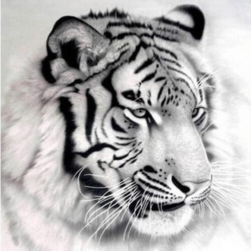 Full Square/Round Drill 5D DIY Diamond Painting "Animal White Tiger" 3D Rhinestone Embroidery Cross Stitch Home Decor Gift