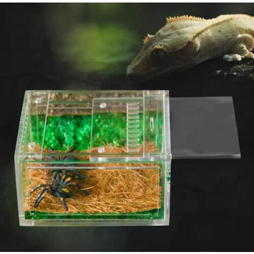 Feeding Box For Insect Reptile Breeding Box Clear Acrylic Terrarium Reptiles Amphibians Caterpillars Snail Plastic Box Tanks