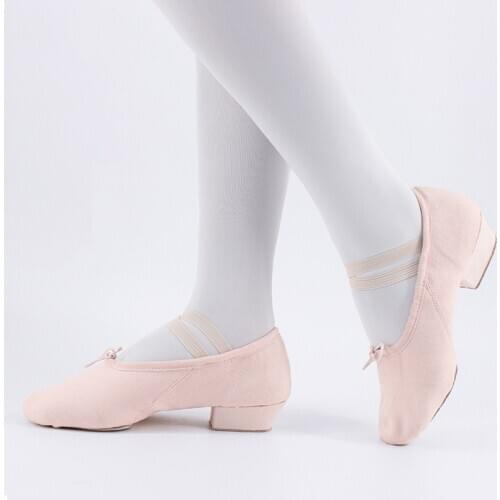 Professional Ballet Dance Shoes for Women Girls Low Heel Dance Shoes Canvas Teacher Shoes For Dancing Class