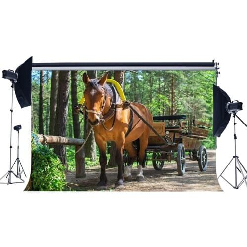 Rustic Farmland Backdrops Jungle Forest Trees Dirt Road Kentucky Derby Party Photography Background