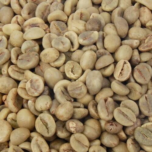 500g High Quality Vietnam Vietnamese Robusta (Coffea canephora )Green Raw Coffee Beans/Beads