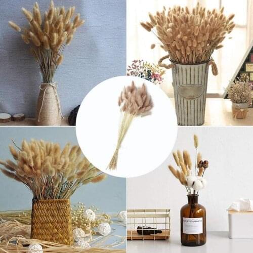 30 Stems Dried Flower Bunny Tail Natural Plants Floral Bouquet Rabbit Accessories Grass Home Photography Flores Props Decor S2h5