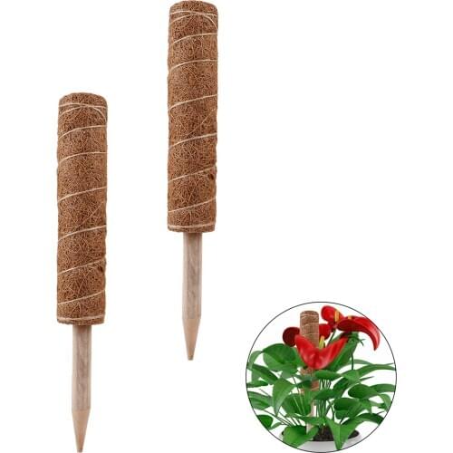Coir Plant Climbing Gardening Tools Totem Stick Moss Poles Individually Extendable Grow Upwards 50cm 2PCS Support Indoor Plants