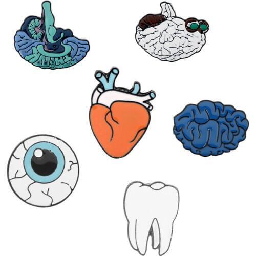 6 Style Human Organs Anatomical Enamel Brooches Brain Heart Eye Teeth Lapel Pins Badge Gift For Medical Students Doctor Nurse