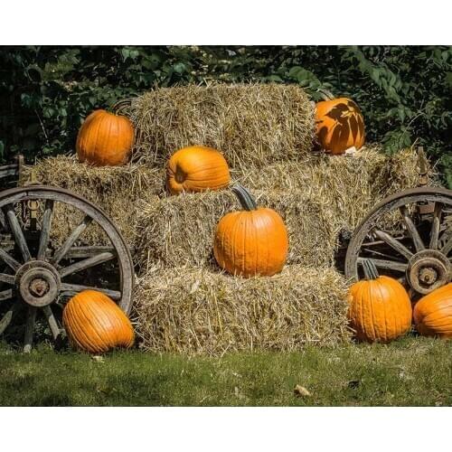 Pumpkin farm photography backgrounds vinyl happy Halloween photography backdrops for photo studio accessories photophone HA-370