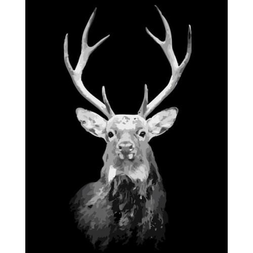 GATYZTORY 60x75cm Frame DIY Painting By Numbers Black and white animals Animal Paint By Numbers On Canvas Home Decoration