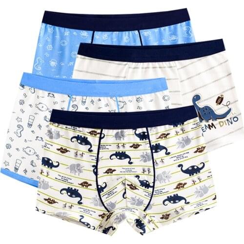 SLAIXIU Underwear For Boys