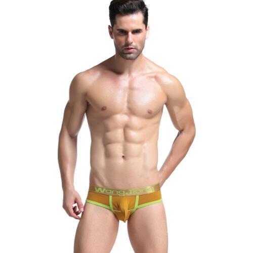 2017 new style WJ brand gay underwear mens sexy briefs cotton elephant nose underwear sexy underpants hot selling