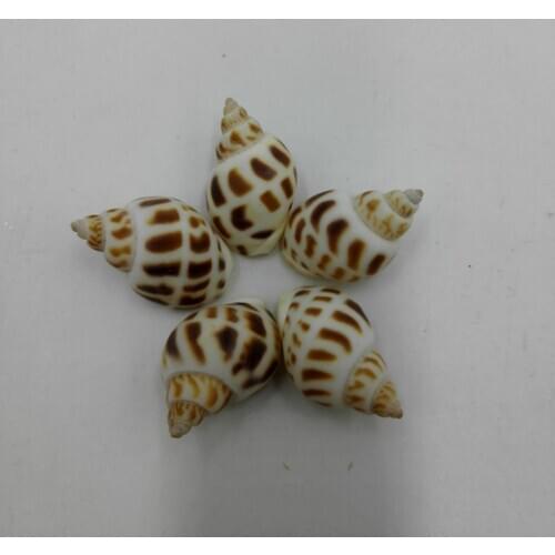 Decor Decoration Starfish Coastal Marine Maritime Mediterranean Coral Style Jewelry Seashell Beach Natural Home Bead For
