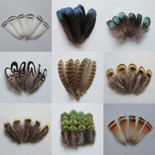 Hot sale all kinds of different pure natural colour and lustre pheasant feather DIY handwork ornament essential 50 or 20 root