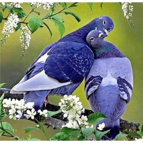 DIY Diamond Painting Cross Stitch Flowers Resin Needlework Home Decor full Rhinestone Mosaic Diamond Embroidery Icon pigeon