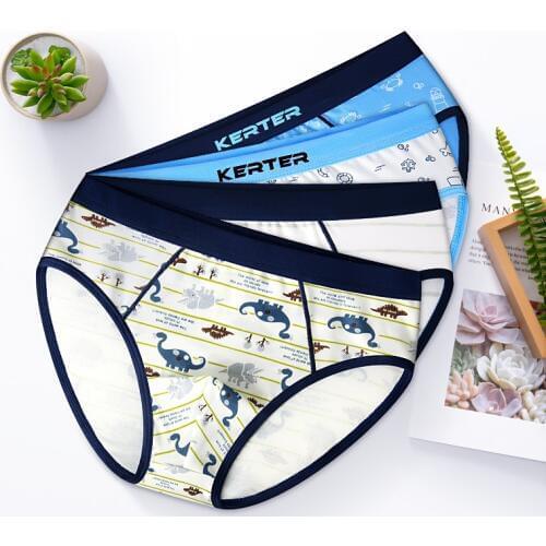 4pcs/pack Boys Boxers Underwear Cute Dinosaur Print Shorts Teenage Panties Toddler Baby Clothes Cotton Panties Kids Underpants