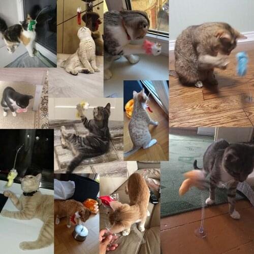 1Pcs Funny Elastic Feather Sucker Bottom Mouse Toys For Kitten Play Seat Scratch Pet Accessories