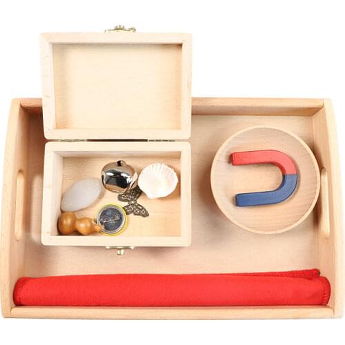 Montessori Science Material Magnet Working Preschool Early Educational Toys Early Development Toys for Kids