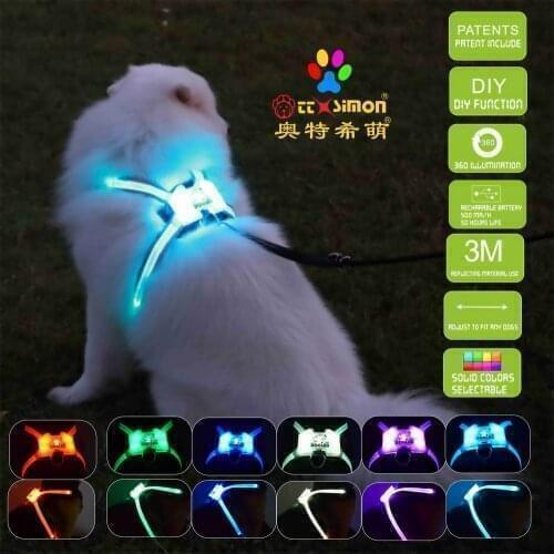 USB Charging Led Dog Collar Dog Collar Personalized Nylon Pet Dog Tag Collar Custom Puppy Cat Nameplate ID Collars Adjustable