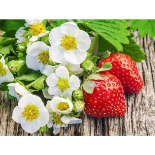Fruit Strawberry Printed 11CT Cross Stitch DIY Embroidery Set DMC Threads Craft Handiwork Sewing Knitting For Adults Decor