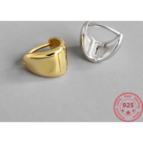 BITWBI Korean S925 Sterling Silver Earrings Unusual INS Minimalist Geometric Female Earring Gold Earrings for Women