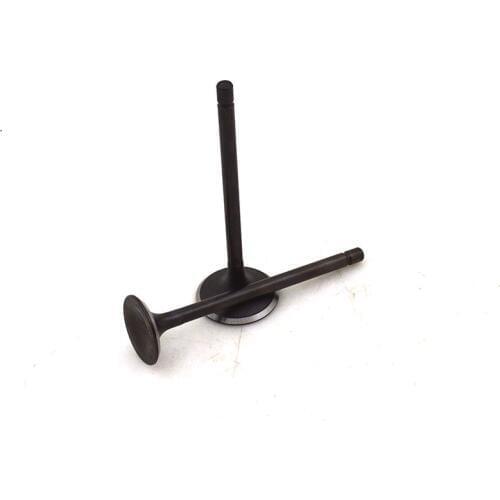 NEW High Quality Engine Intake Exhaust Stem Valve Seal for SUZUKI AN125 AN 125 ( VECSTAR 125 ) Burgman 125 Scooter Spare Parts