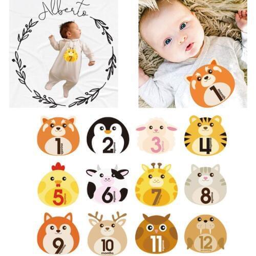 12 Pcs Animal First Year Monthly Milestone Photo Sharing Baby Belly Stickers 1-12 Months #905